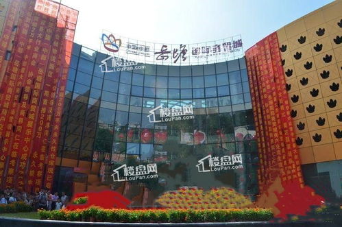 岳塘國(guó)際商貿(mào)城 中部商貿(mào)新引擎，開創(chuàng)智慧交易新篇章
